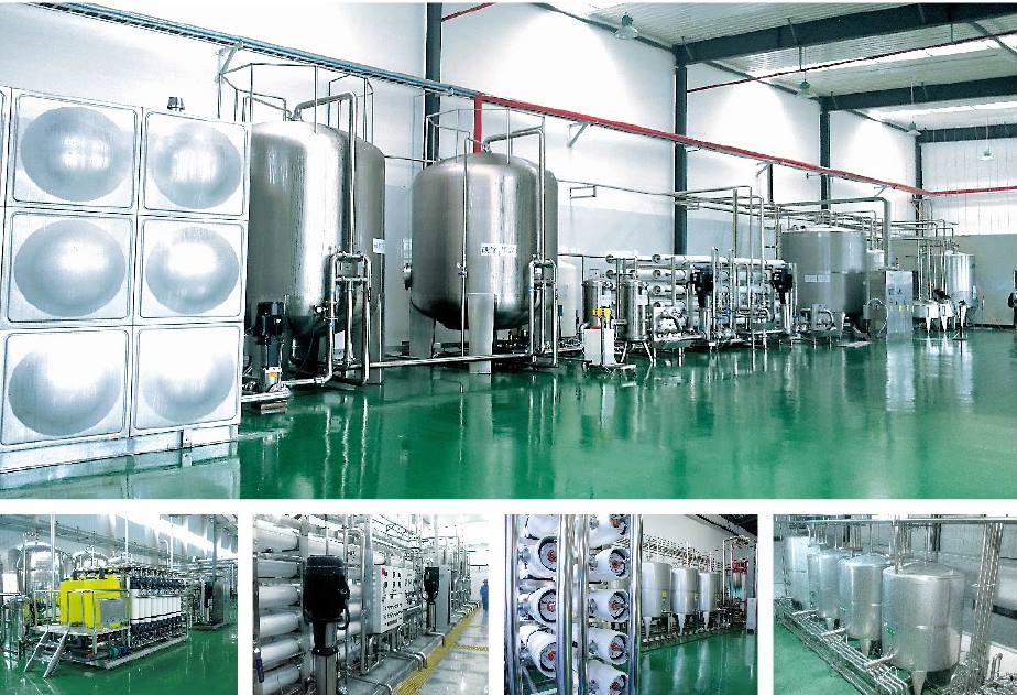 15319163 1288860517822580 6094637242897294295 n